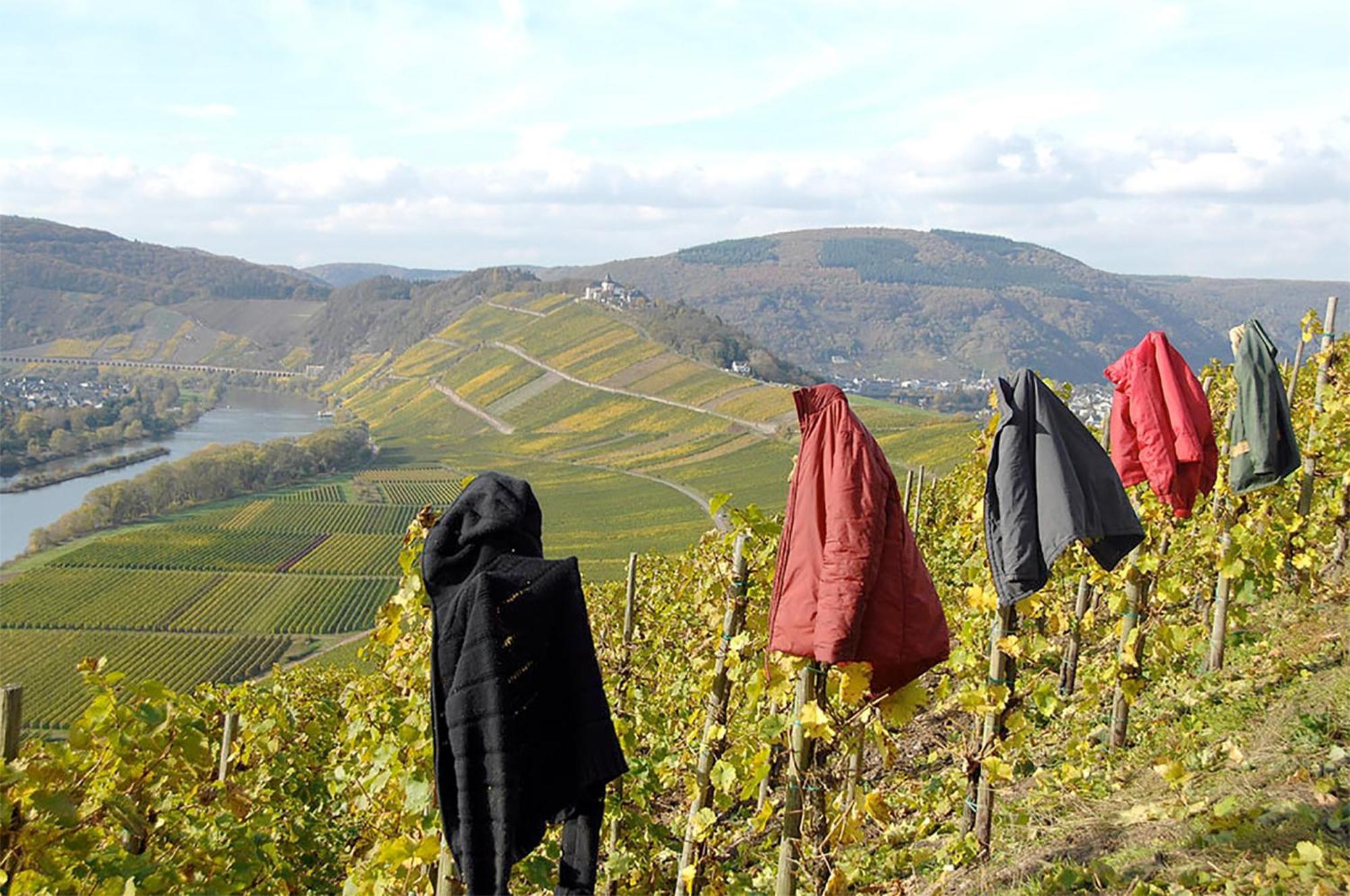 Weingut Rosenbaum Διαμέρισμα Briedel Εξωτερικό φωτογραφία