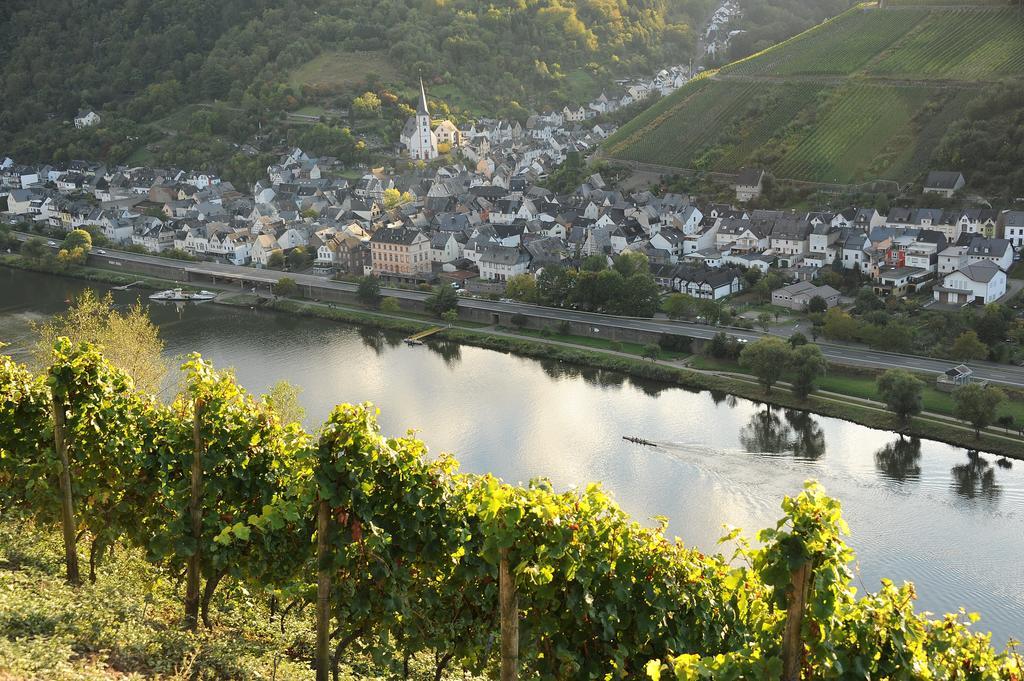 Weingut Rosenbaum Διαμέρισμα Briedel Εξωτερικό φωτογραφία