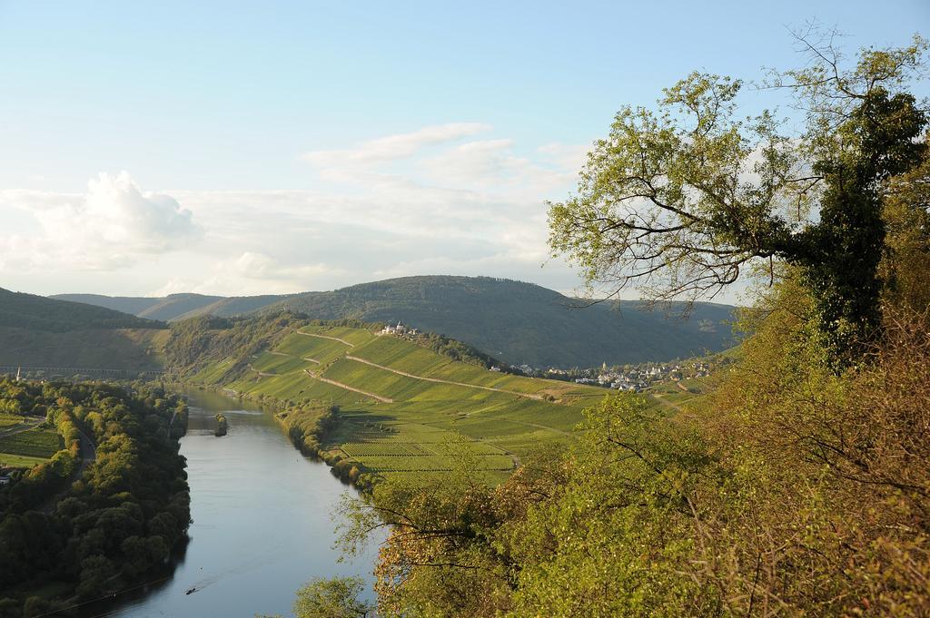 Weingut Rosenbaum Διαμέρισμα Briedel Εξωτερικό φωτογραφία