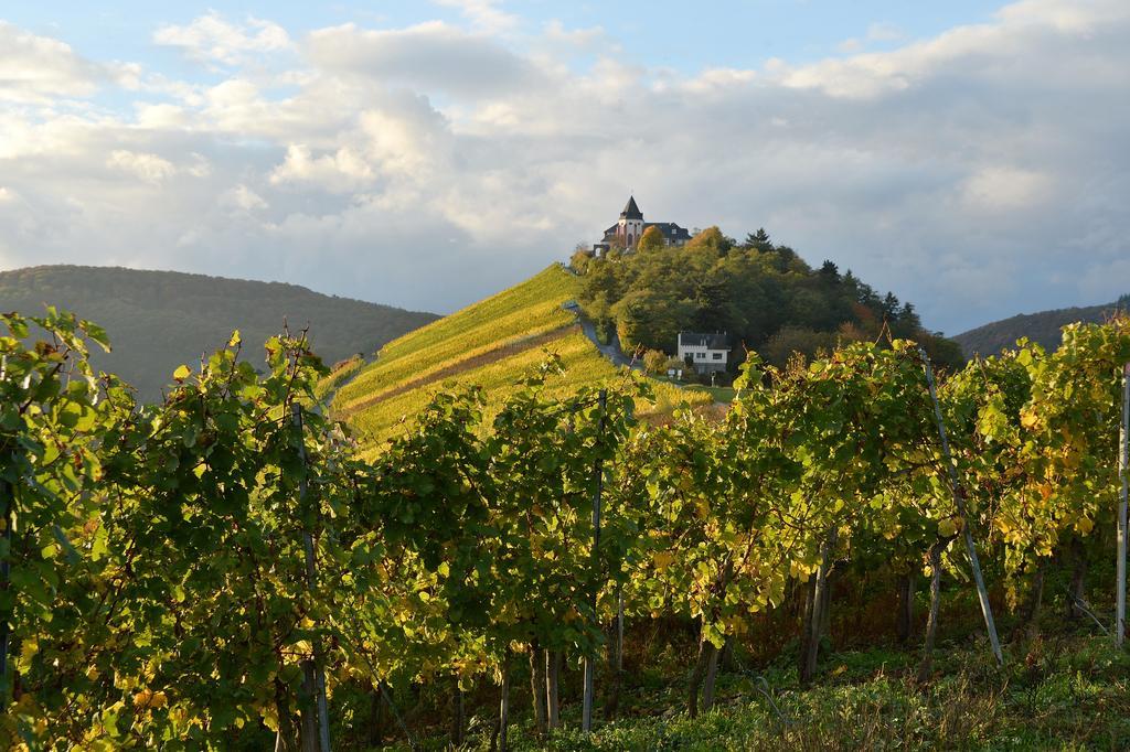 Weingut Rosenbaum Διαμέρισμα Briedel Εξωτερικό φωτογραφία